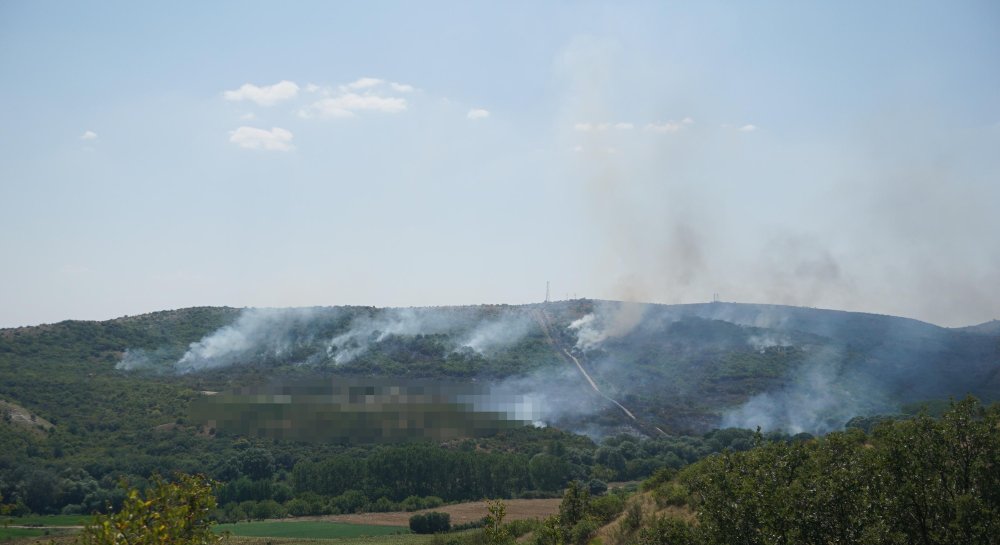 Türkiye- Bulgaristan sınırında orman yangını