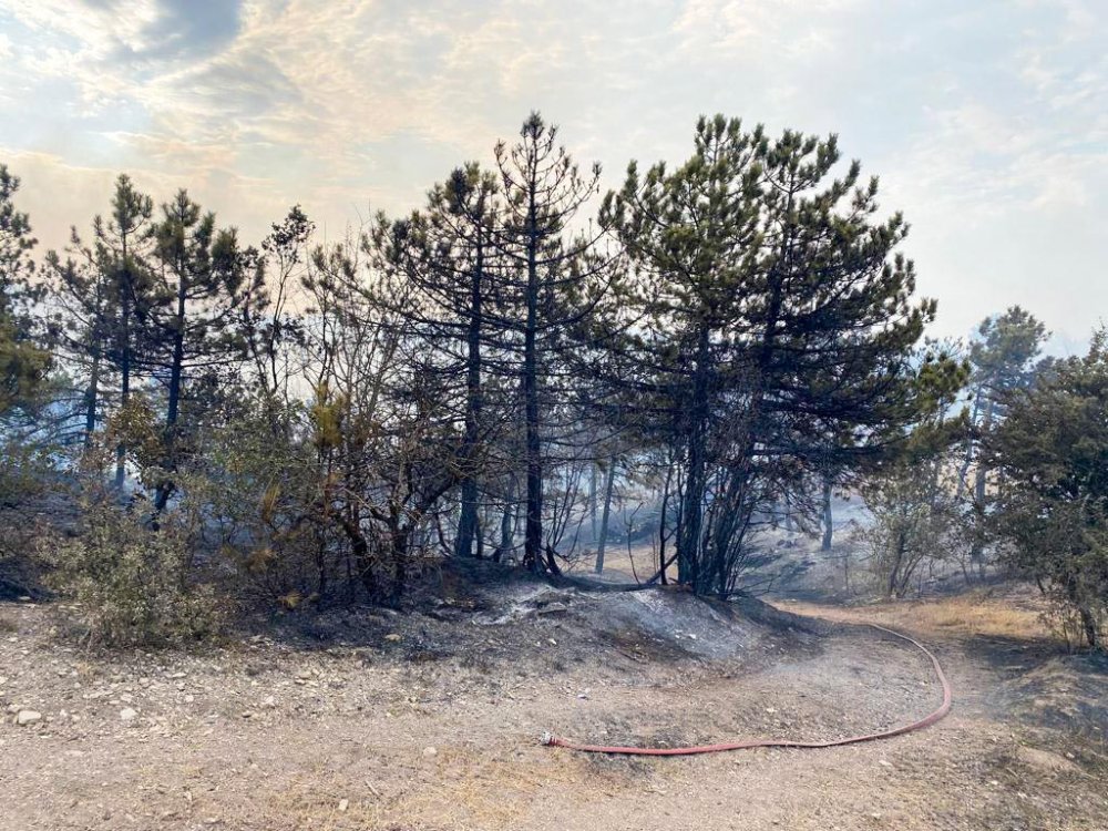 2 gündür söndürülemiyor: 10 kilometre mesafede bir yangın daha çıktı
