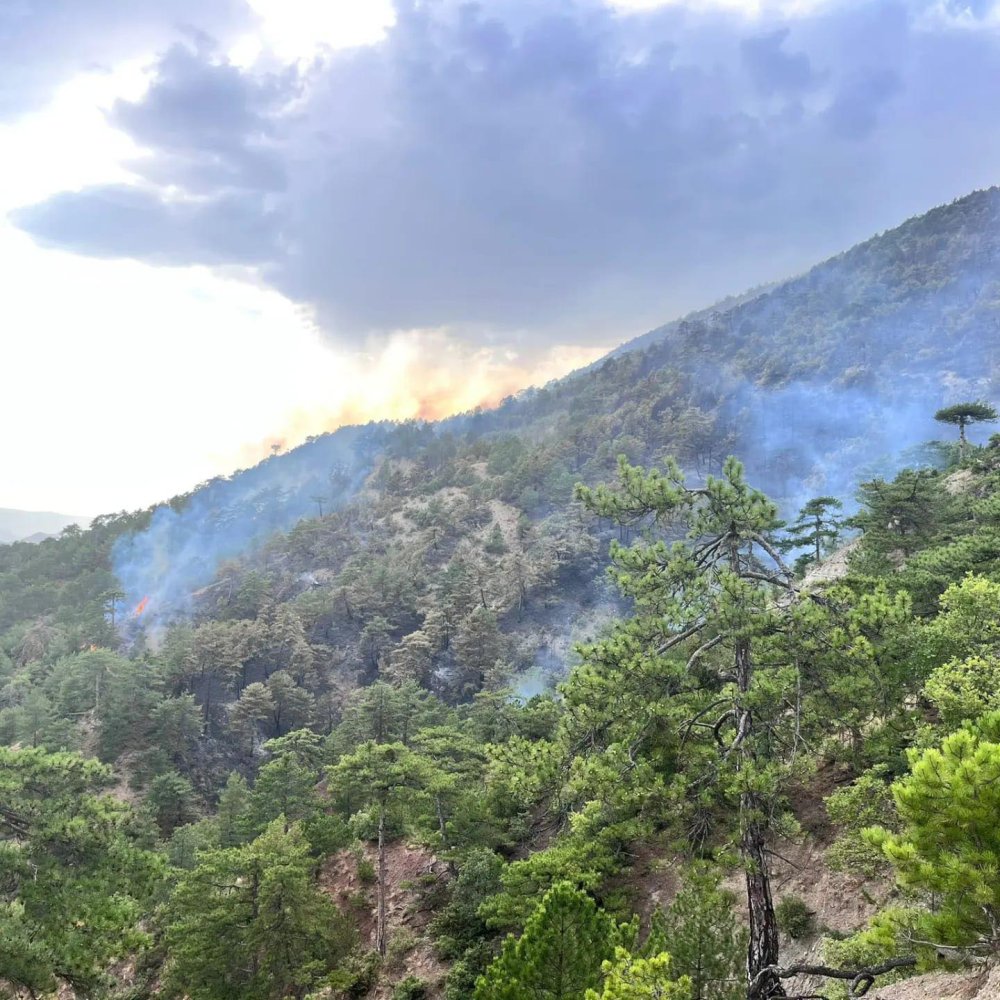 2 gündür söndürülemiyor: 10 kilometre mesafede bir yangın daha çıktı