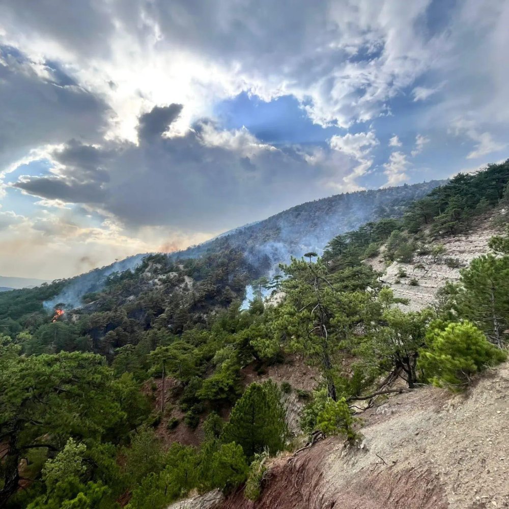 2 gündür söndürülemiyor: 10 kilometre mesafede bir yangın daha çıktı