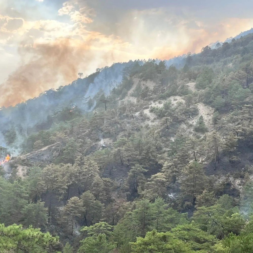 2 gündür söndürülemiyor: 10 kilometre mesafede bir yangın daha çıktı