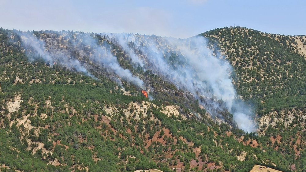 2 gündür söndürülemiyor: 10 kilometre mesafede bir yangın daha çıktı