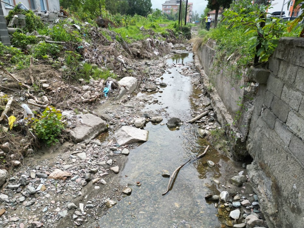 Selden önce hiçbir şey gözükmüyordu, sonra ortaya çıktı