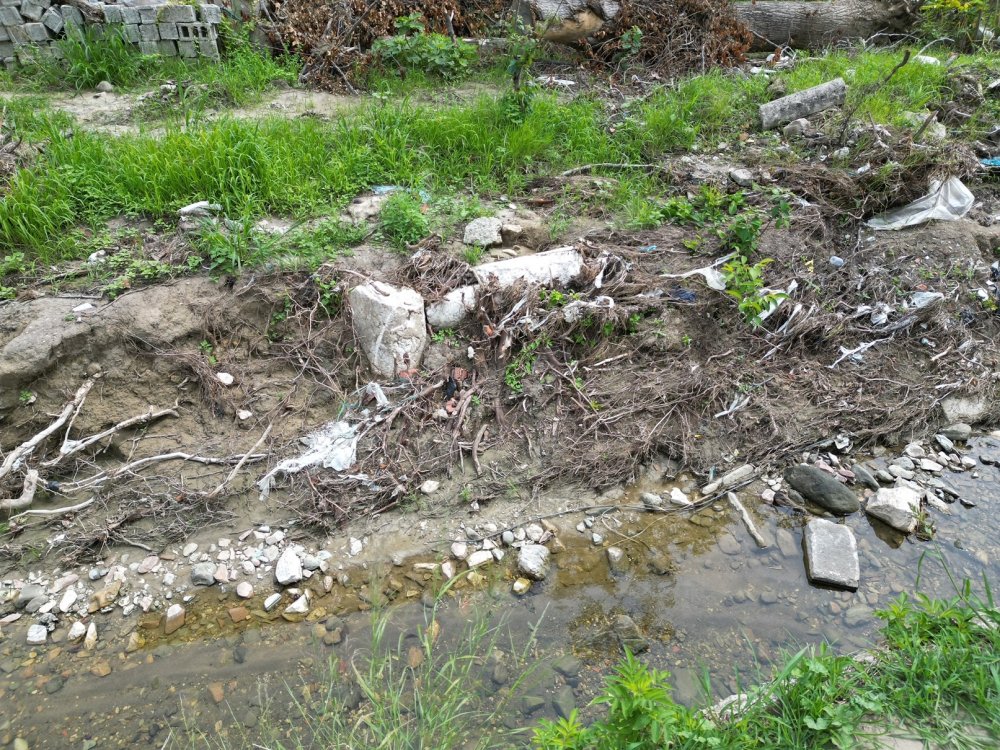 Selden önce hiçbir şey gözükmüyordu, sonra ortaya çıktı