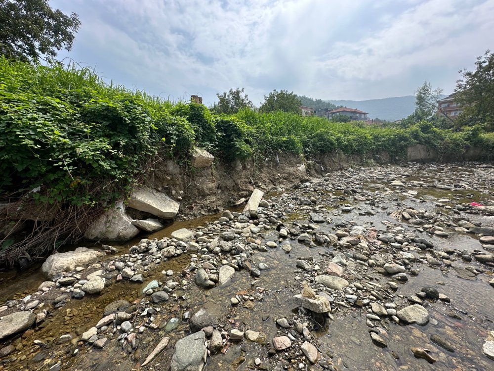 Selden önce hiçbir şey gözükmüyordu, sonra ortaya çıktı