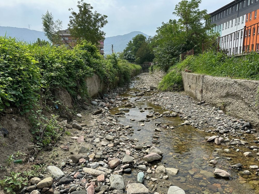 Selden önce hiçbir şey gözükmüyordu, sonra ortaya çıktı