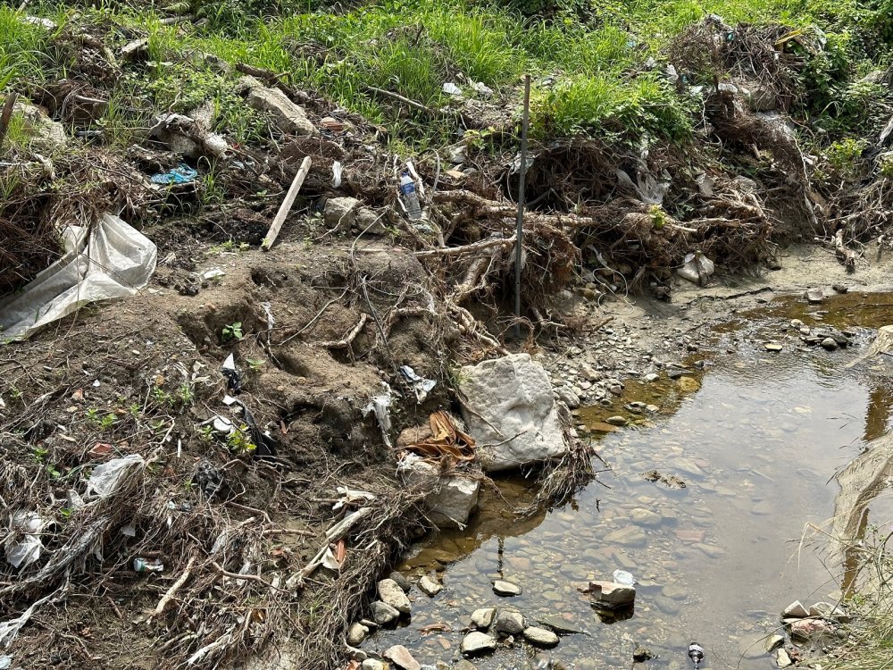 Selden önce hiçbir şey gözükmüyordu, sonra ortaya çıktı