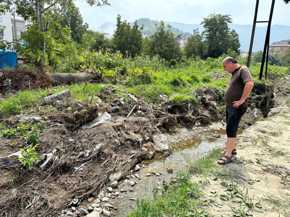 Selden önce hiçbir şey gözükmüyordu, sonra ortaya çıktı