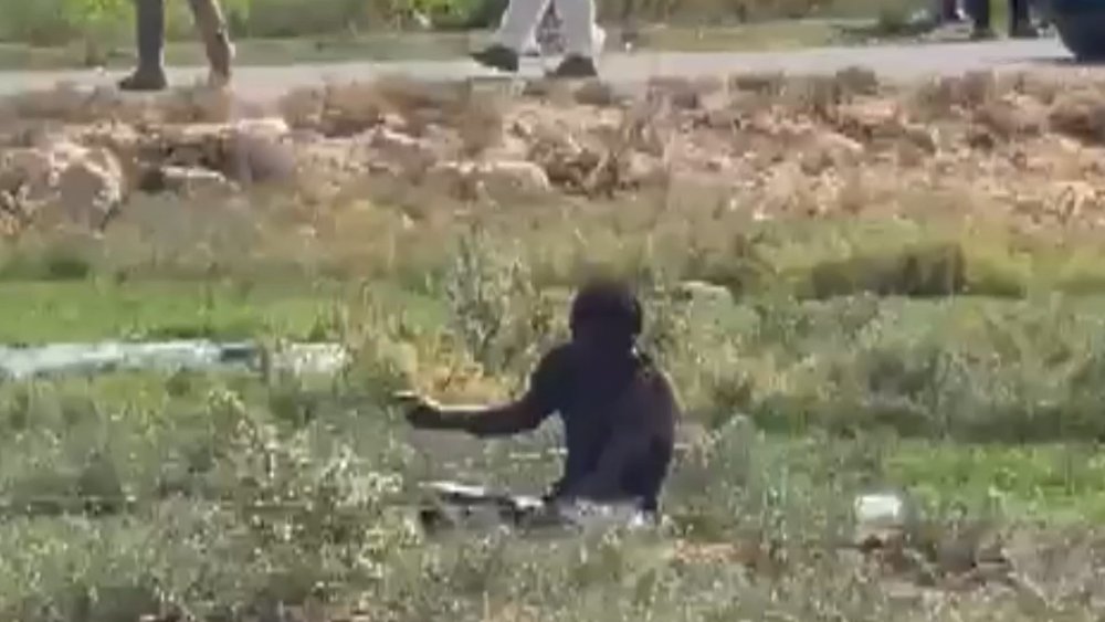 Polis ve sağlıkçılar alarma geçti: Kuduz hastası hastaneden kaçtı