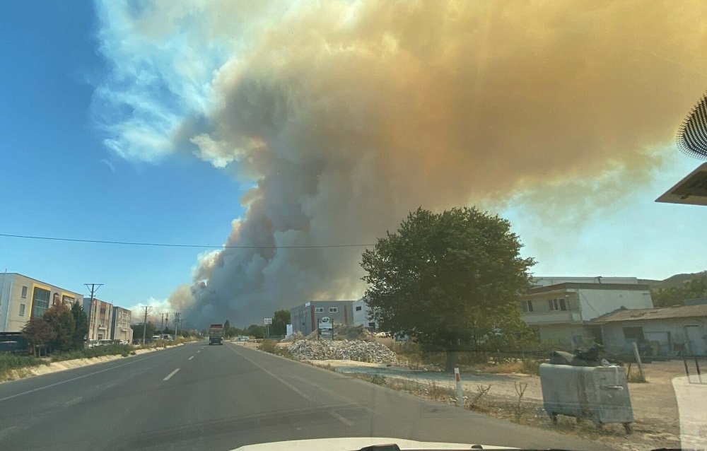 Çanakkale'de orman yangını: Müdahale sürüyor