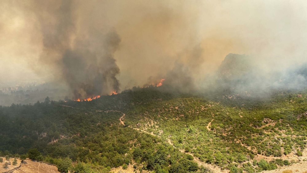 Çanakkale'de orman yangını yayıldı: Köy boşaltıldı, yol ulaşıma kapatıldı