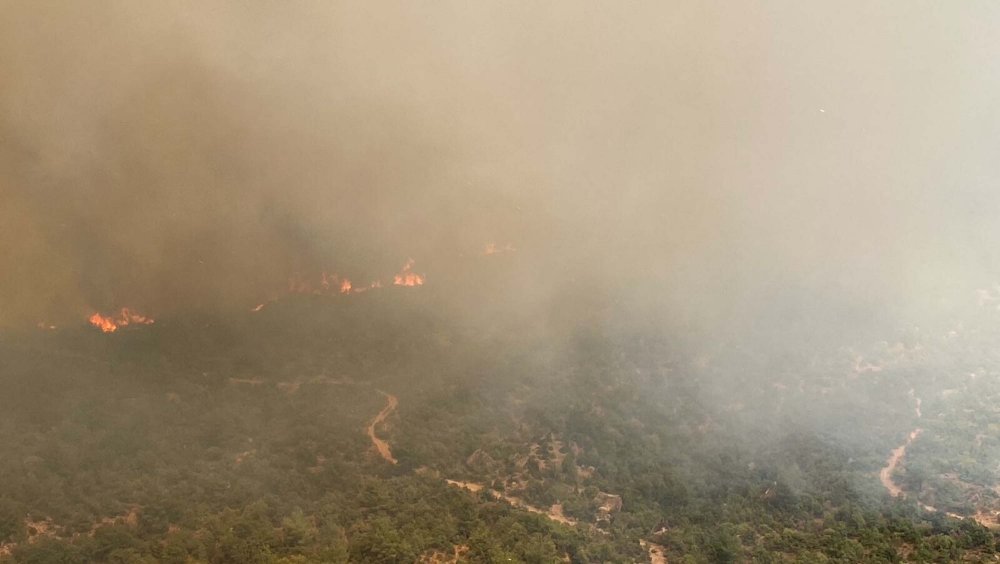 Çanakkale'de orman yangını yayıldı: Köy boşaltıldı, yol ulaşıma kapatıldı