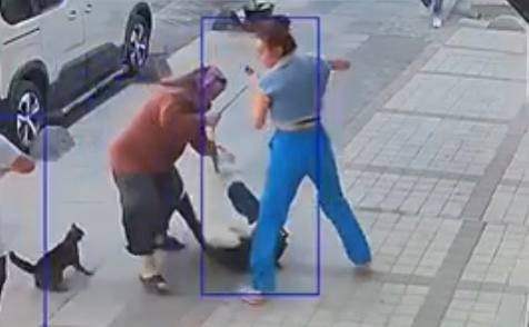 Köpeklere savaş açan kedi çevredekileri şaşkına çevirdi: Sibirya kurduna saldırdı