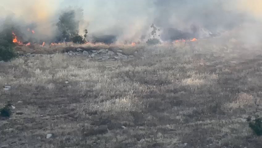 Diyarbakır’da orman yangını