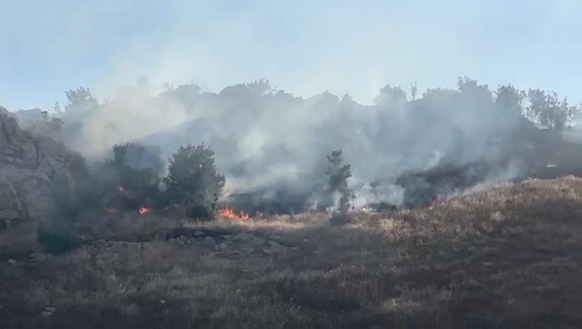 Diyarbakır’da orman yangını
