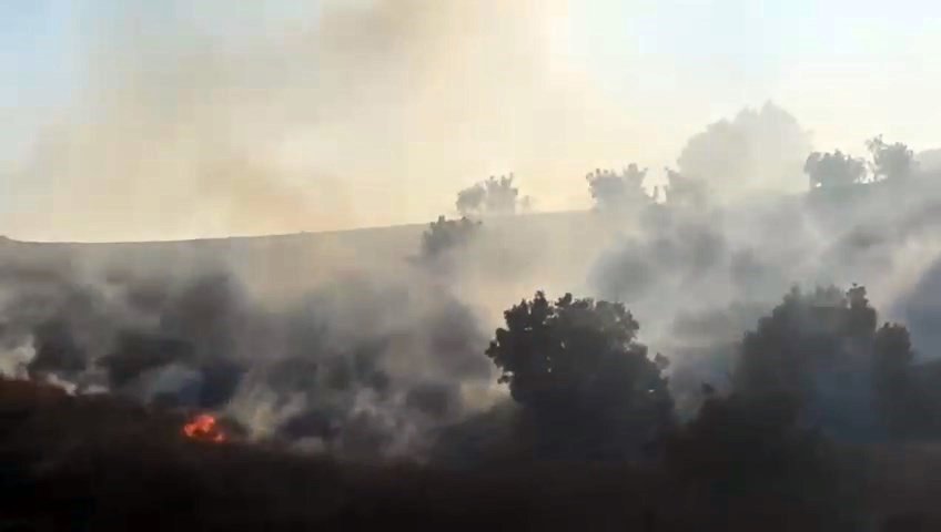 Diyarbakır’da orman yangını