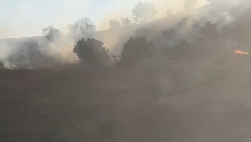 Diyarbakır’da orman yangını