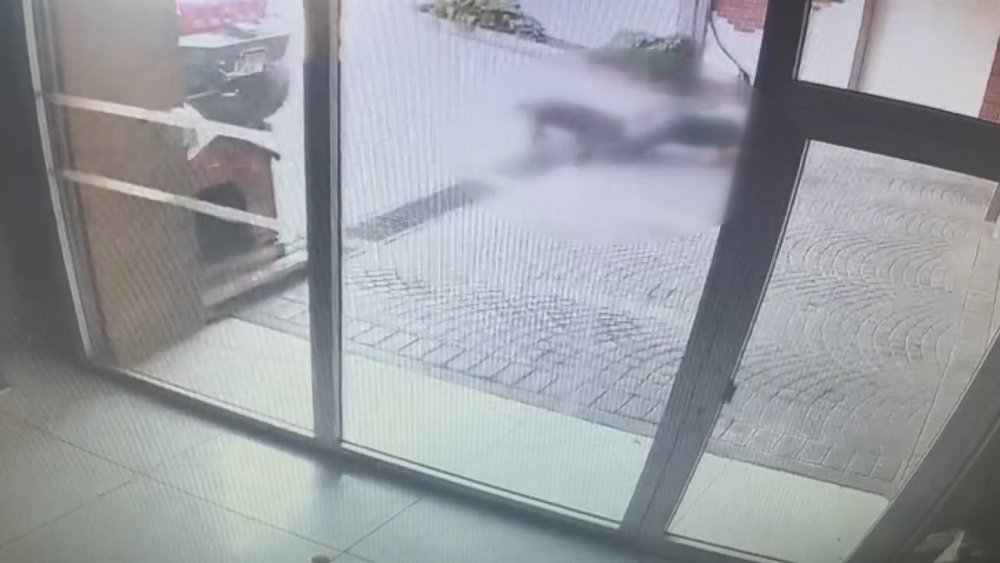 Bakırköy'deki Pitbull saldırısı: Sahipleri yakalandı