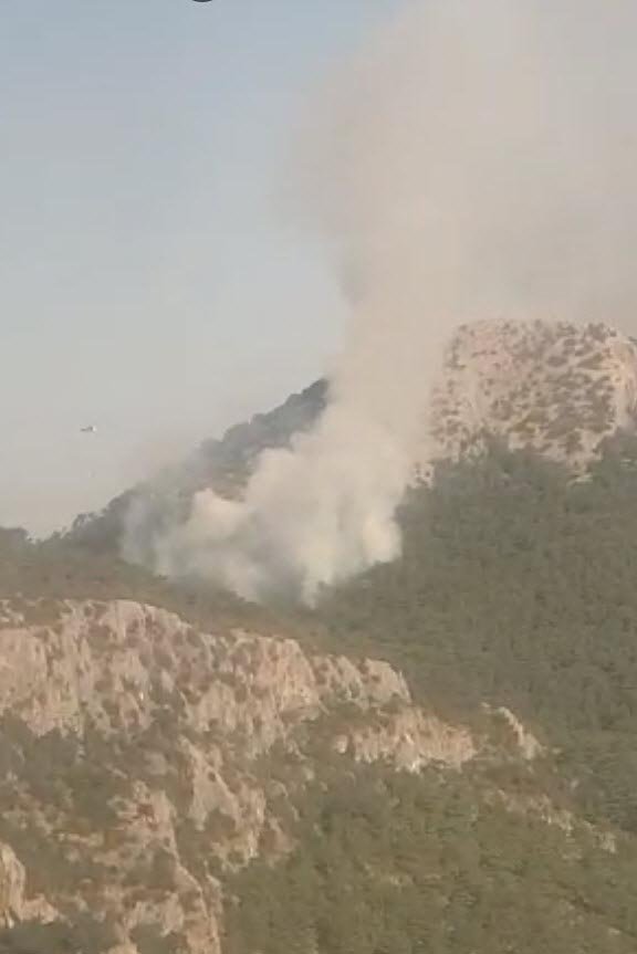 İzmir'de orman yangını: Müdahale sürüyor