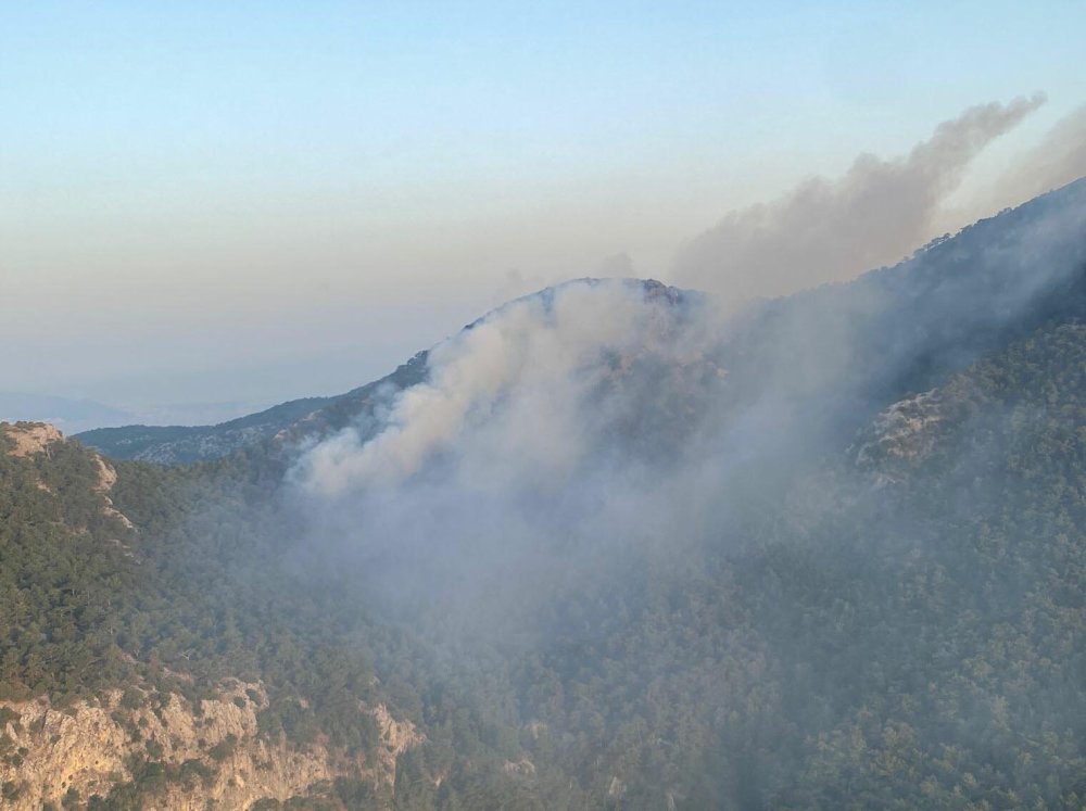 İzmir'de orman yangını: Müdahale sürüyor