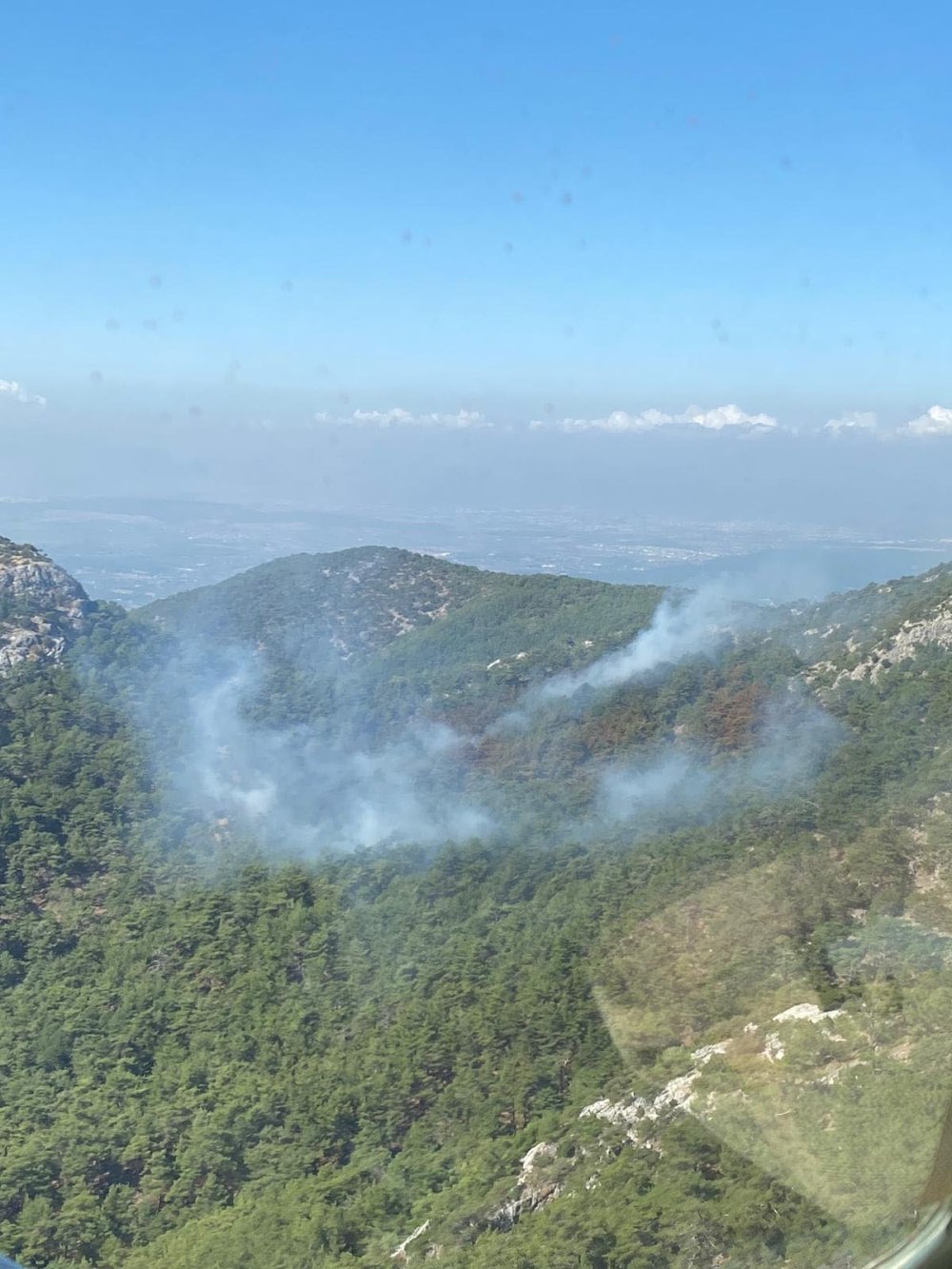 İzmir'de orman yangını: Müdahale sürüyor