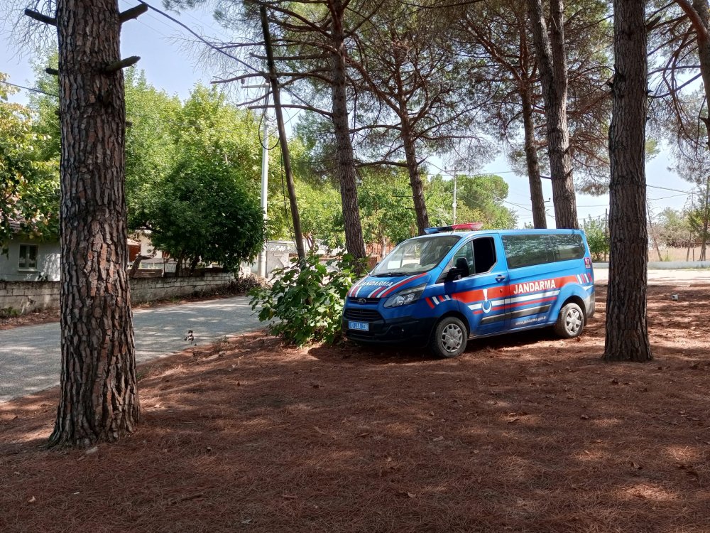 Kaybolan ekonomistin evine dönen köpeği alıkonulmuş olabilir