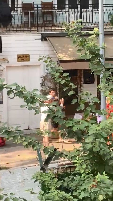 Zeytin ağacı tartışması: Kendini ağaca zincirledi