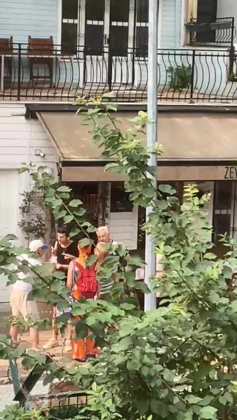 Zeytin ağacı tartışması: Kendini ağaca zincirledi