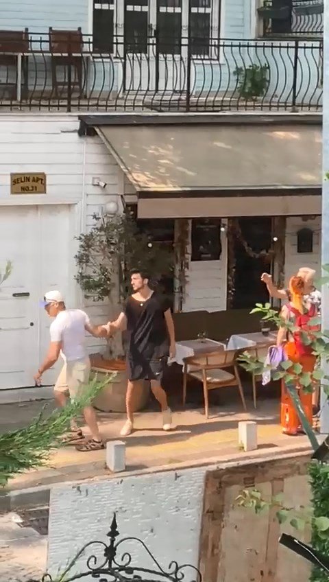 Zeytin ağacı tartışması: Kendini ağaca zincirledi