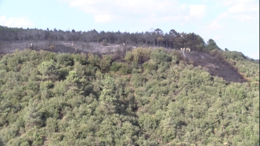 Kent ormanında çıkan yangın güçlükle söndürüldü