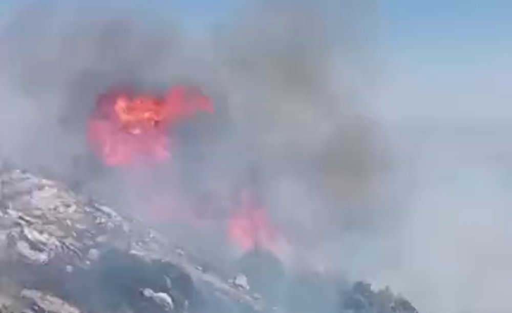 Gaziantep’te orman yangını
