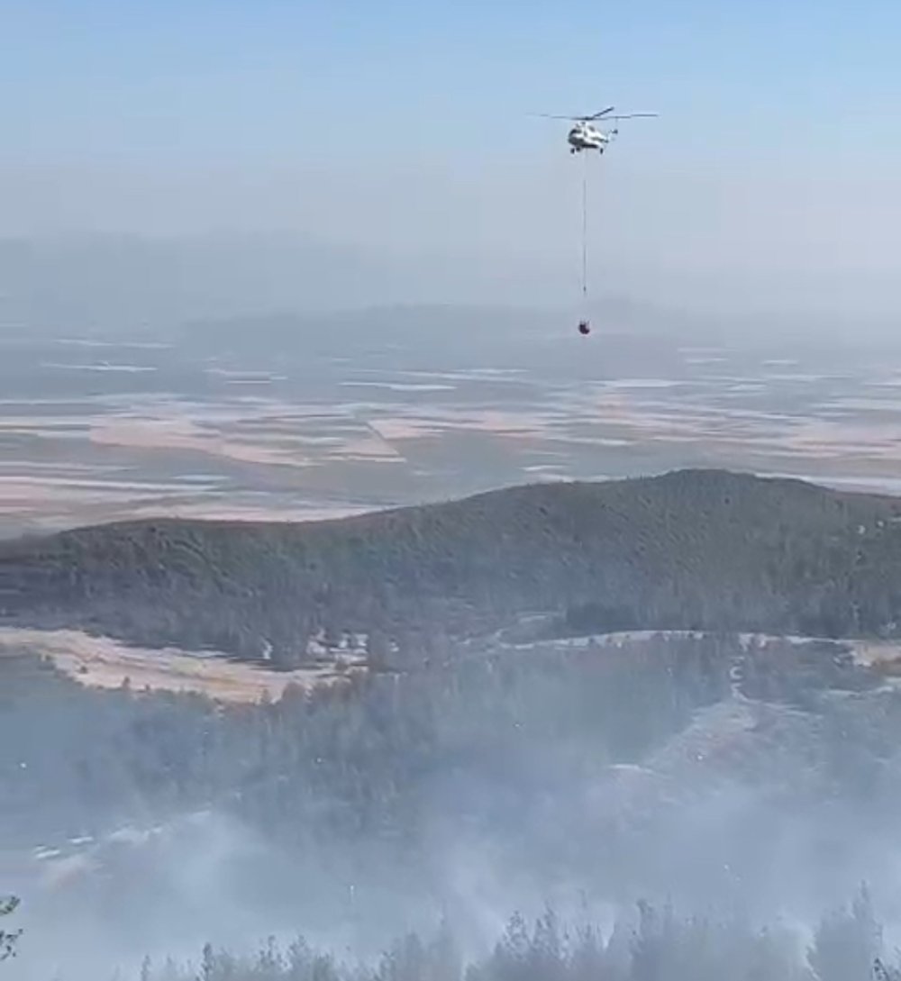 Gaziantep’te orman yangını