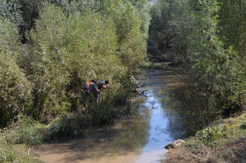 Selde kaybolan Asel bebek, 250 kişilik ekip ve 6 kadavra köpeğiyle aranıyor