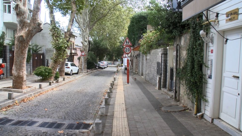 Tartışmaya neden olan zeytin ağaçlarına şafak operasyonu