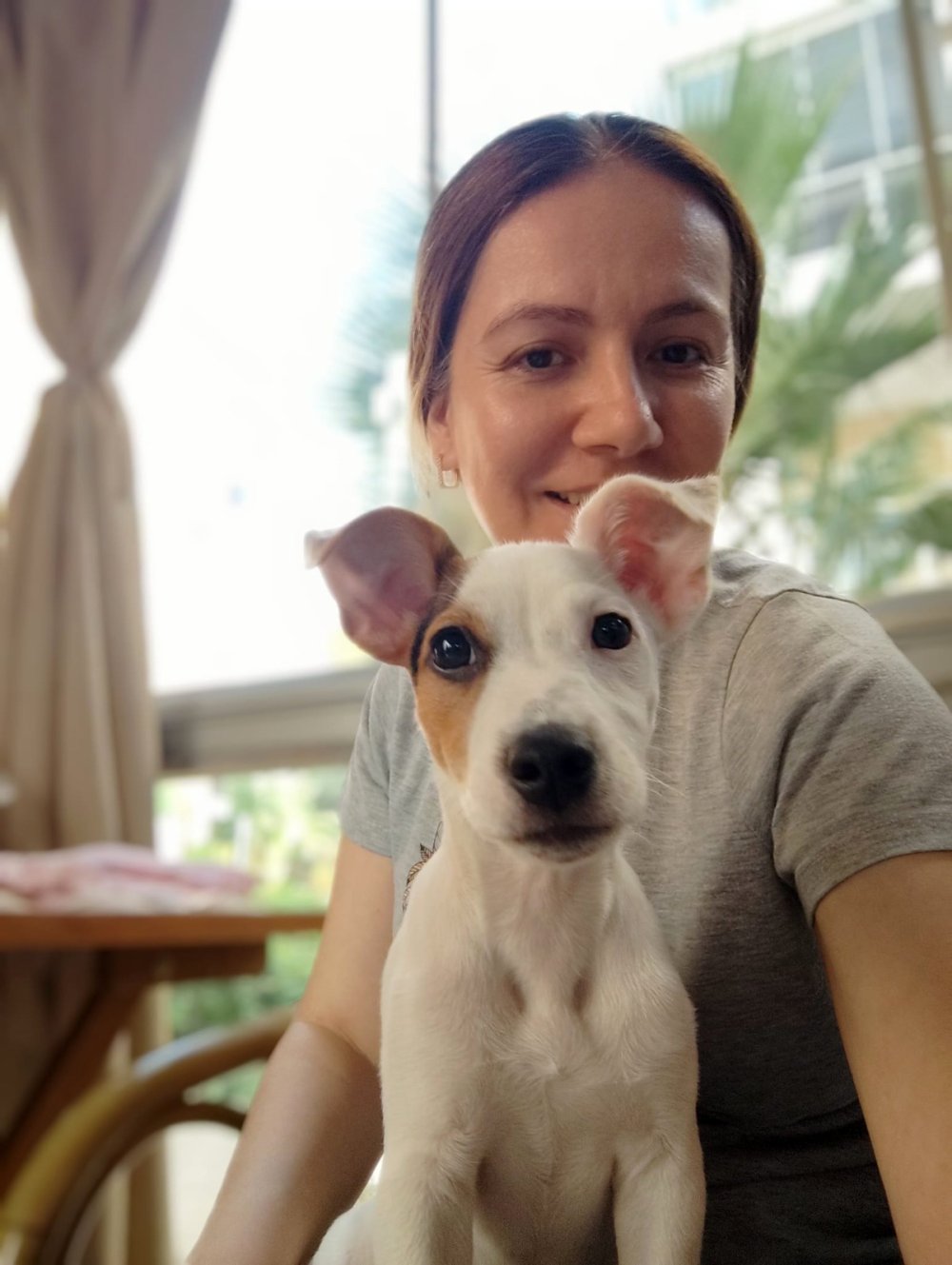 Pitbull saldırısında dehşeti yaşadı: Belediyeden yardım istedi