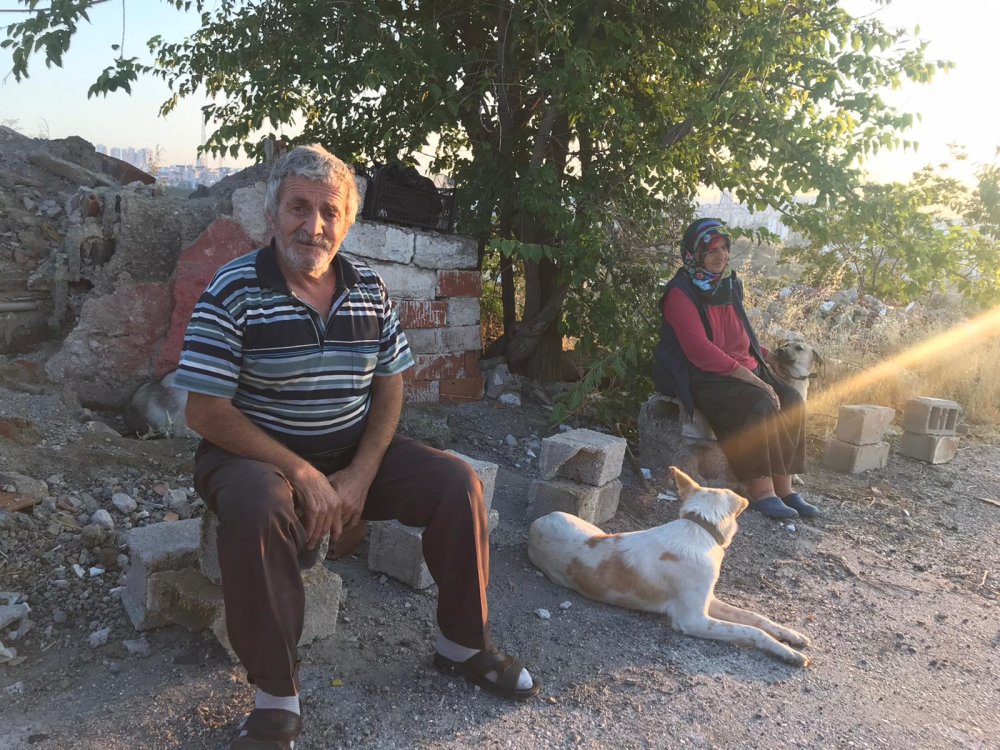 Sokak köpeklerini beslerken başından vuruldu