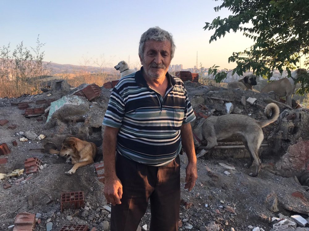 Sokak köpeklerini beslerken başından vuruldu