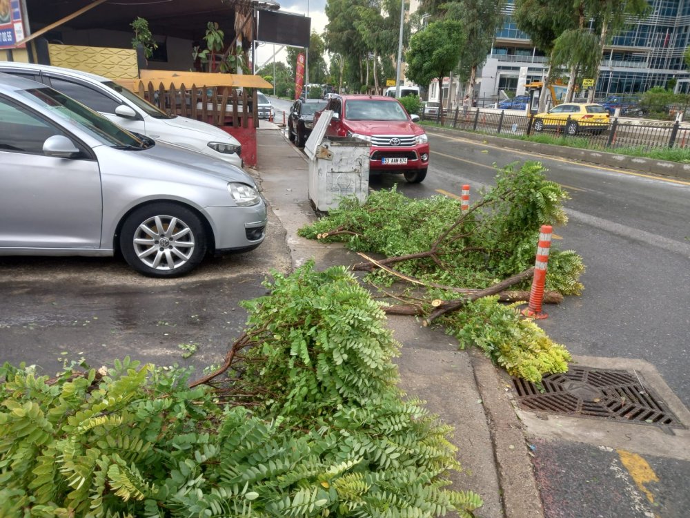 İli fırtına vurdu: Çatılar uçtu, ağaçlar yola düştü