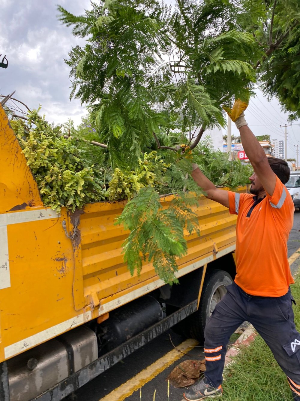 İli fırtına vurdu: Çatılar uçtu, ağaçlar yola düştü