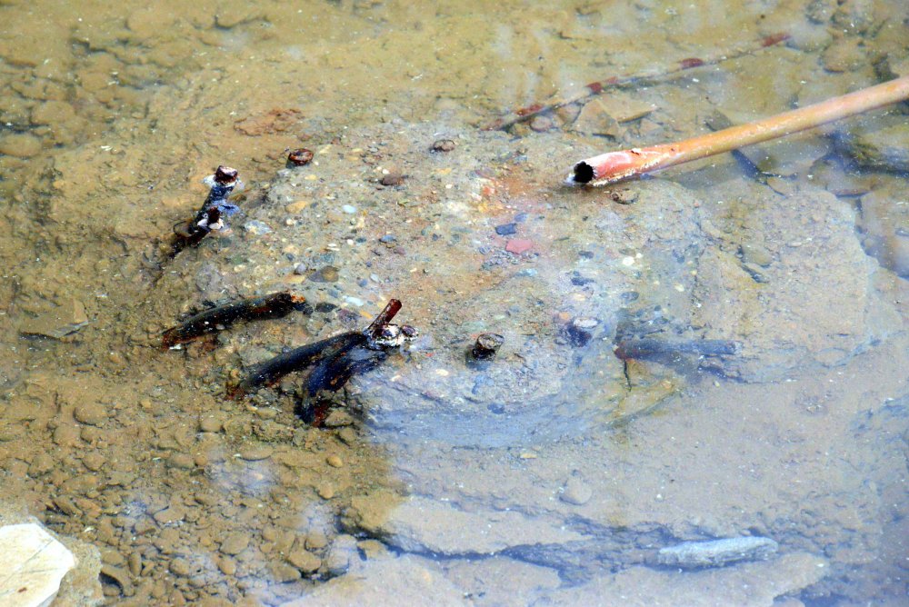 Ezgi Apartmanı 35 kişiye mezar olmuştu: 2 kişi hakkında yakalama kararı