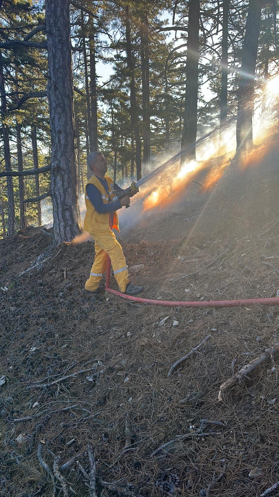 Adana'da orman yangını: Müdahale sürüyor