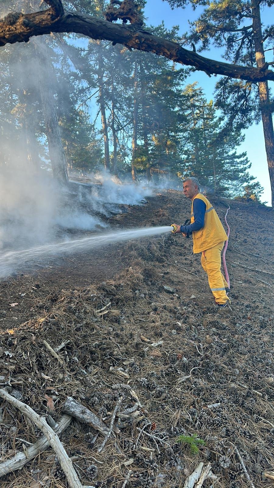 Adana'da orman yangını: Müdahale sürüyor