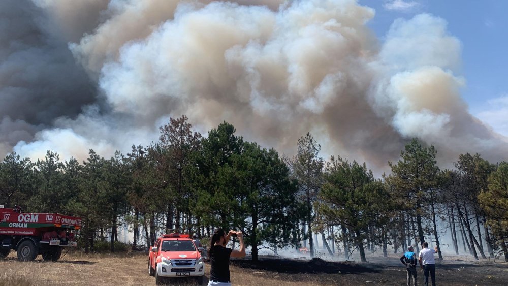 Çerkezköy'de orman yangını: Alevlere müdahale ediliyor