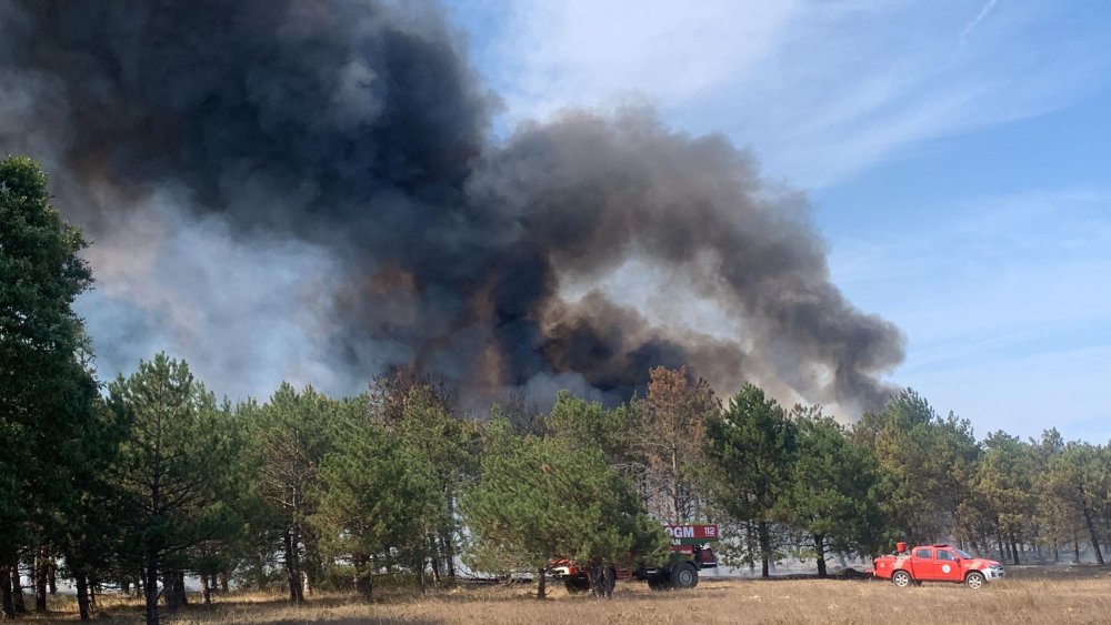 Çerkezköy'de orman yangını: Alevlere müdahale ediliyor