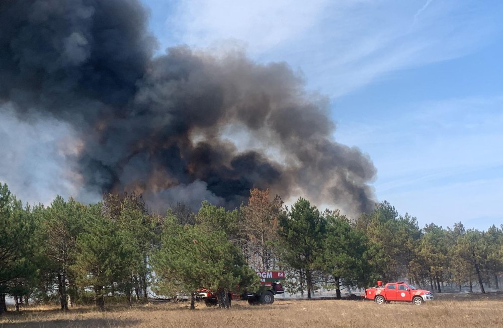 Çerkezköy'de orman yangını: Alevlere müdahale ediliyor