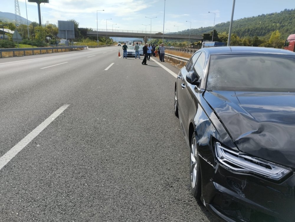 Köpeğe bakmak için araçtan indi, otomobilin çarpması sonucu öldü
