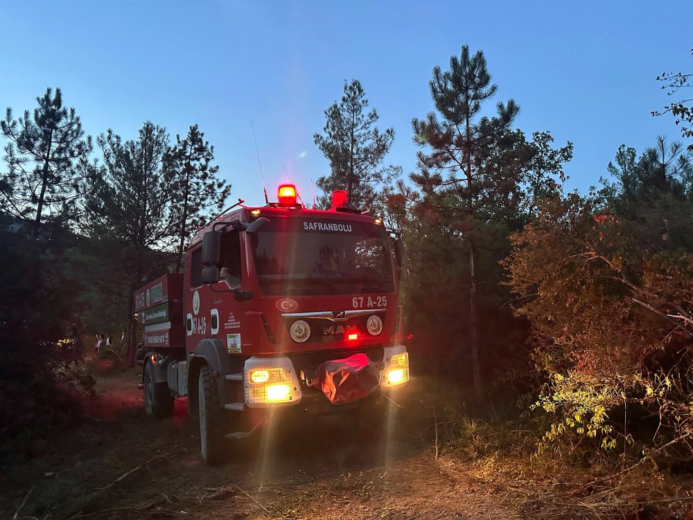 Karabük'te orman yangını