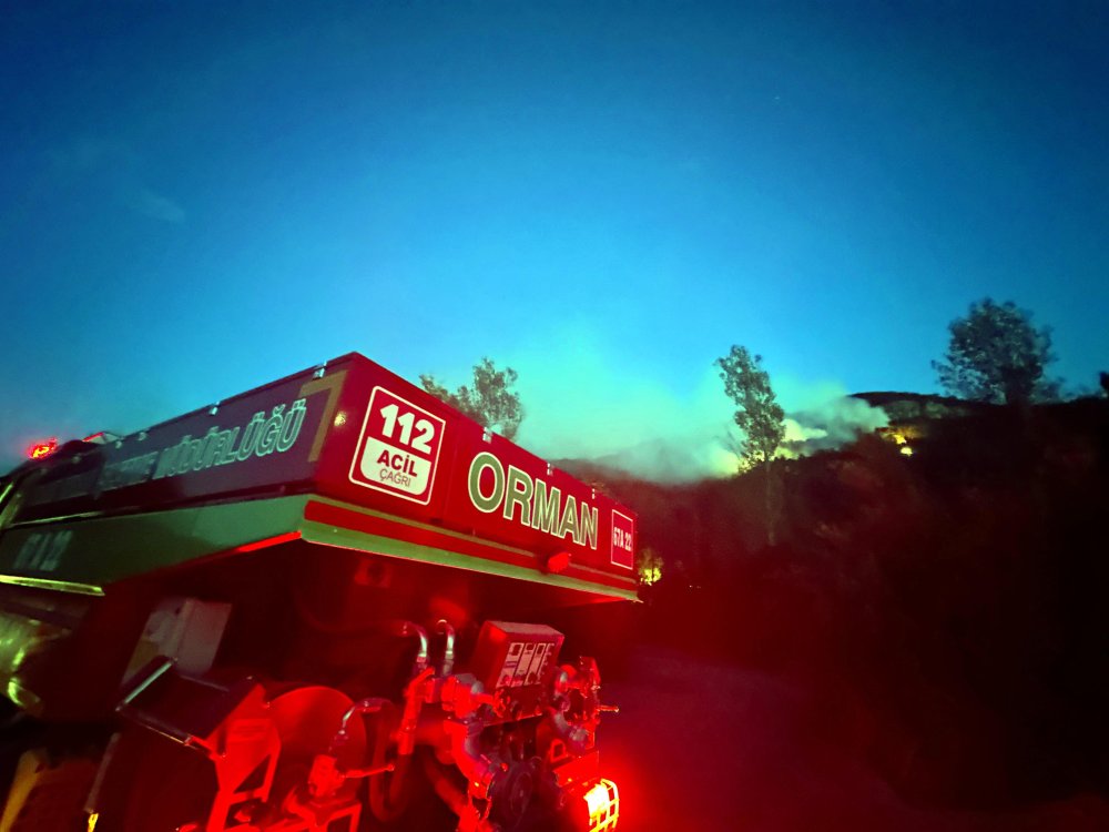 Karabük'te orman yangını