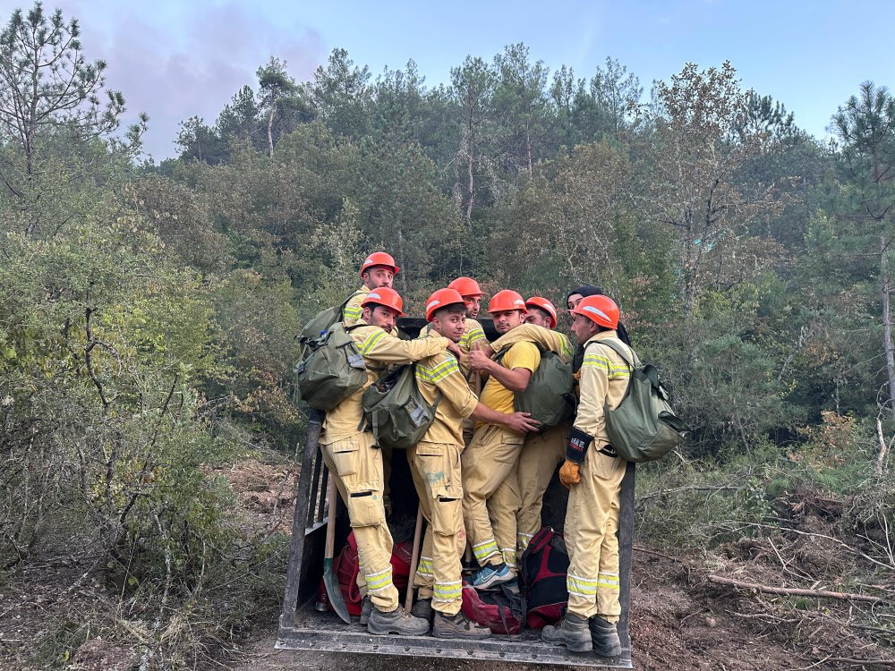 Karabük'te orman yangını