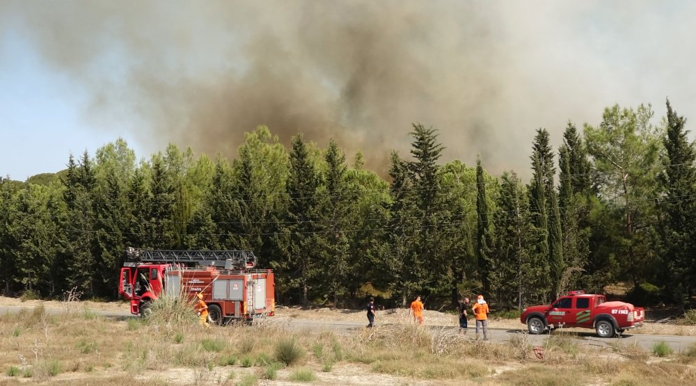 Antalya'da otluk alanda yangın: Teknelere ve ormana sıçradı